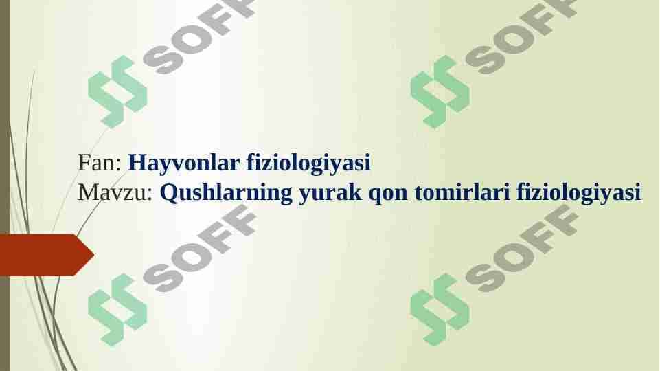 Qushlarning yurak qon tomirlari fiziologiyasi