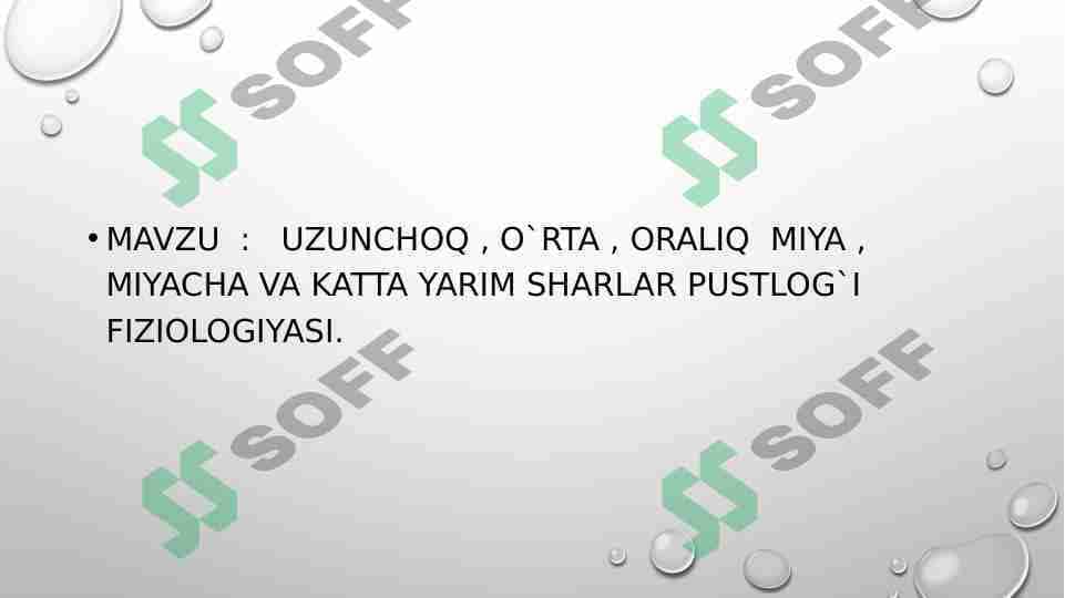UZUNCHOQ , O`RTA , ORALIQ MIYA , MIYACHA VA KATTA YARIM SHARLAR PUSTLOG`I FIZIOLOGIYASI