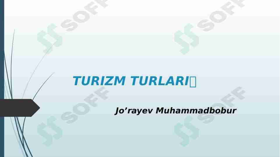 Turizm turlari
