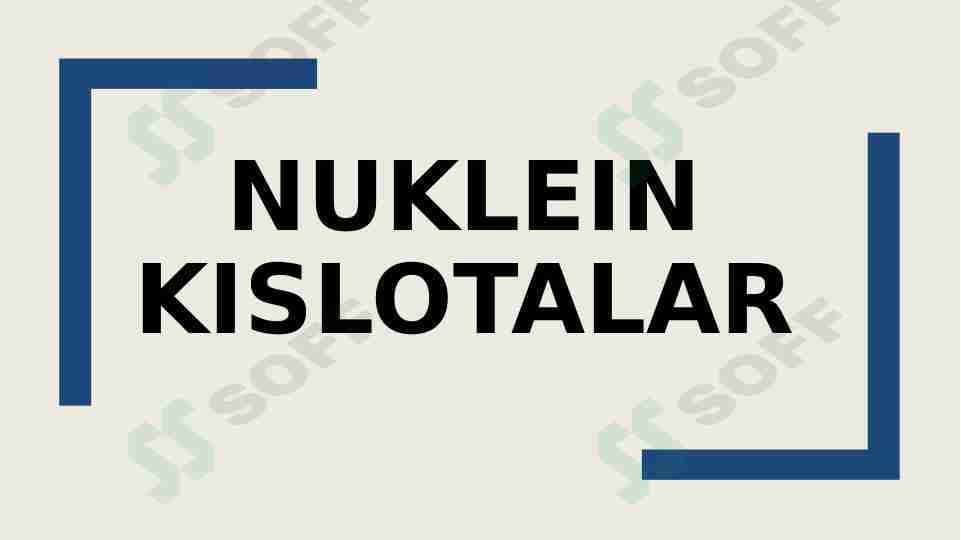 Nuklein kislotalar