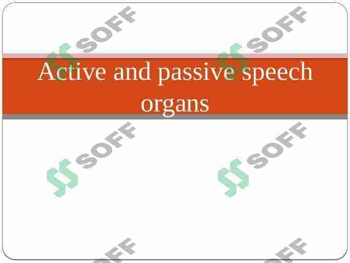 Active and passive speech organs presentation