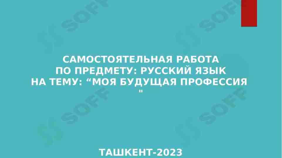 Моя будущая профессия