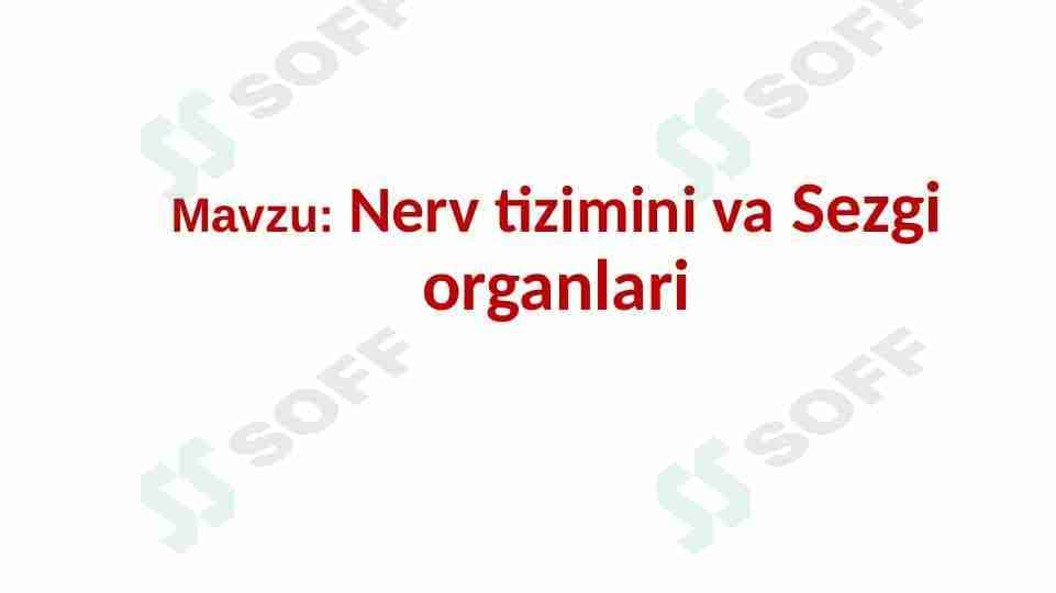 Nerv tizimi va Sezgi organlari