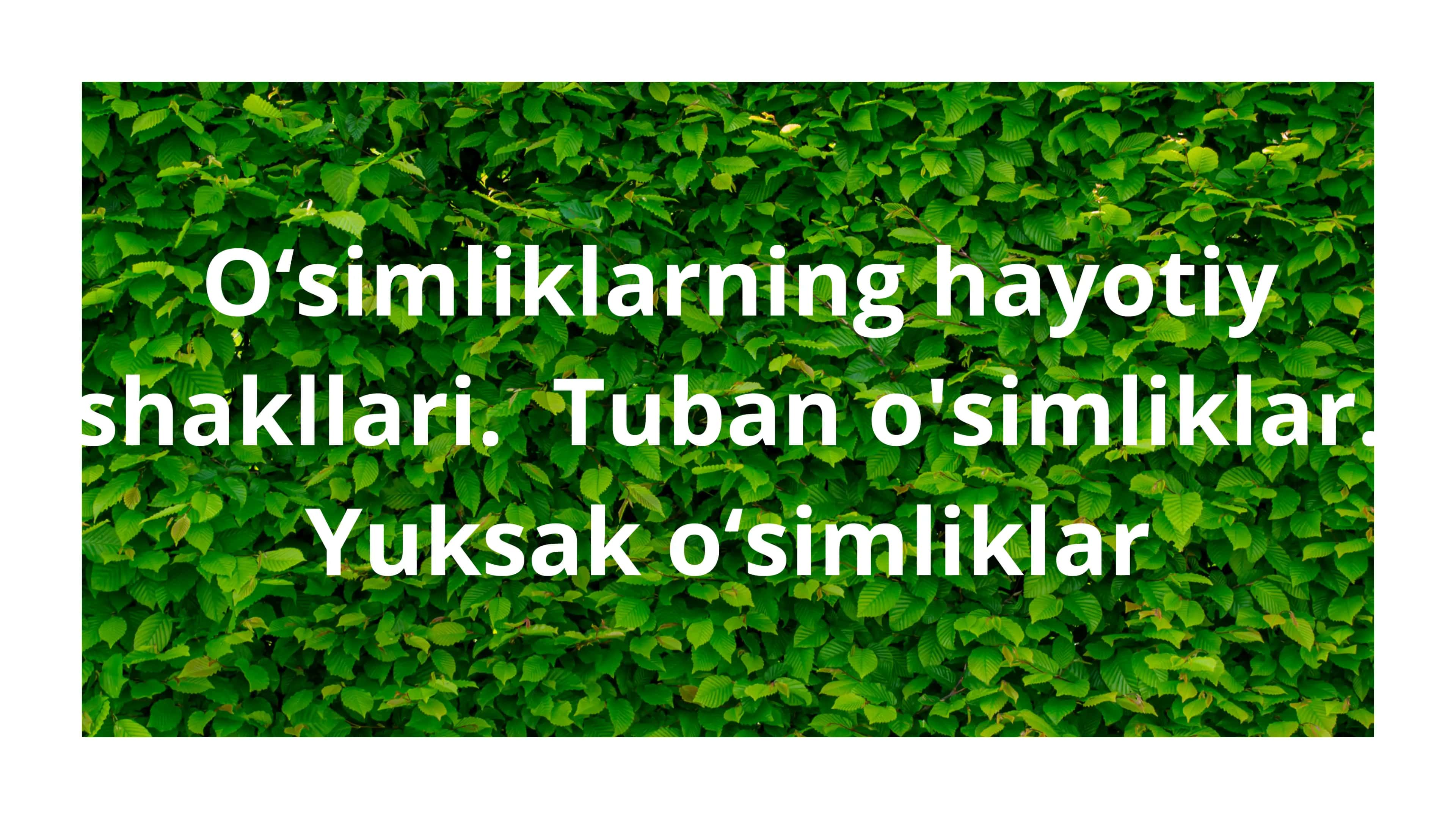 O'simliklarning hayotiy shakllari. Tuban o'simliklar. Yuksak o'simliklar