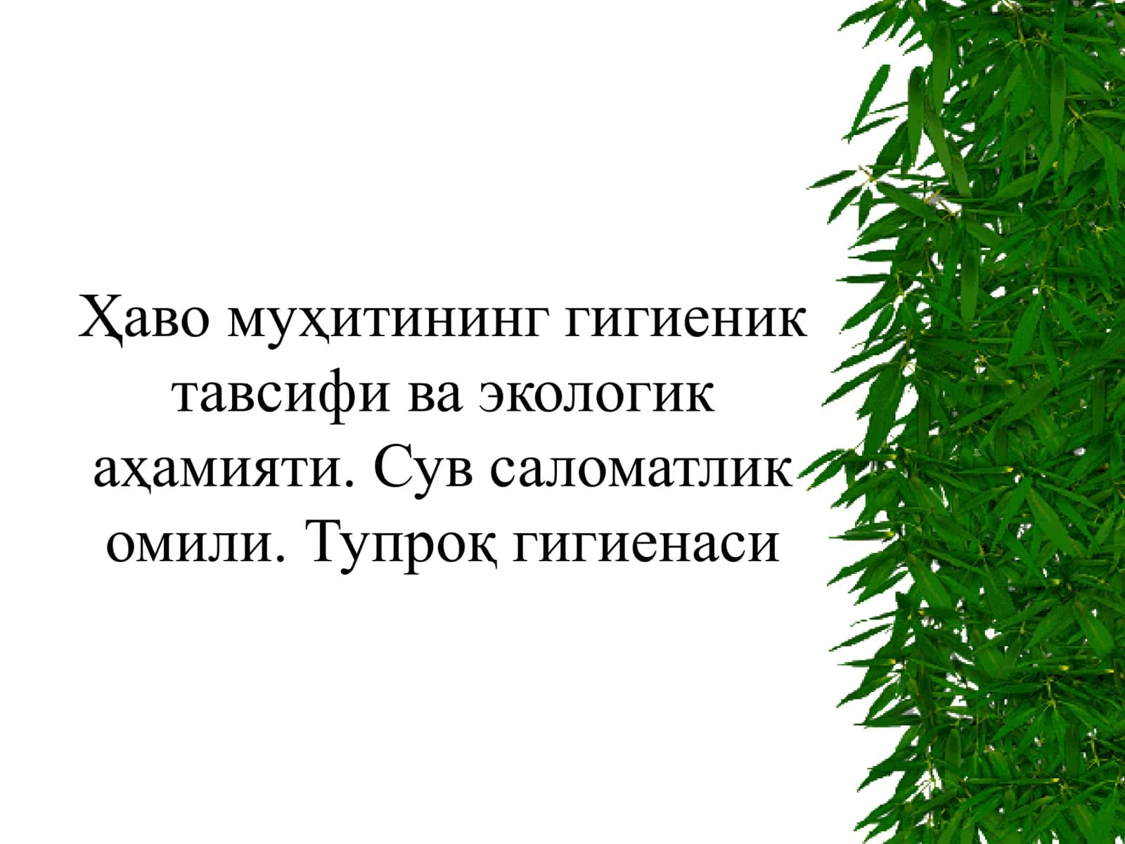 Ҳаво муҳитининг гигиеник тавсифи ва экологик аҳамияти. Сув саломатлик омили. Тупроқ гигиенаси