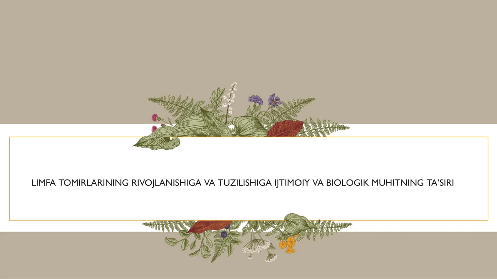 LIMFA TOMIRLARINING RIVOJLANISHIGA VA TUZILISHIGA IJTIMOIY VA BIOLOGIK MUHITNING TA’SIRI