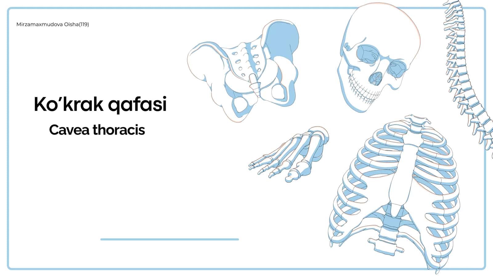 Ko’krak qafasi