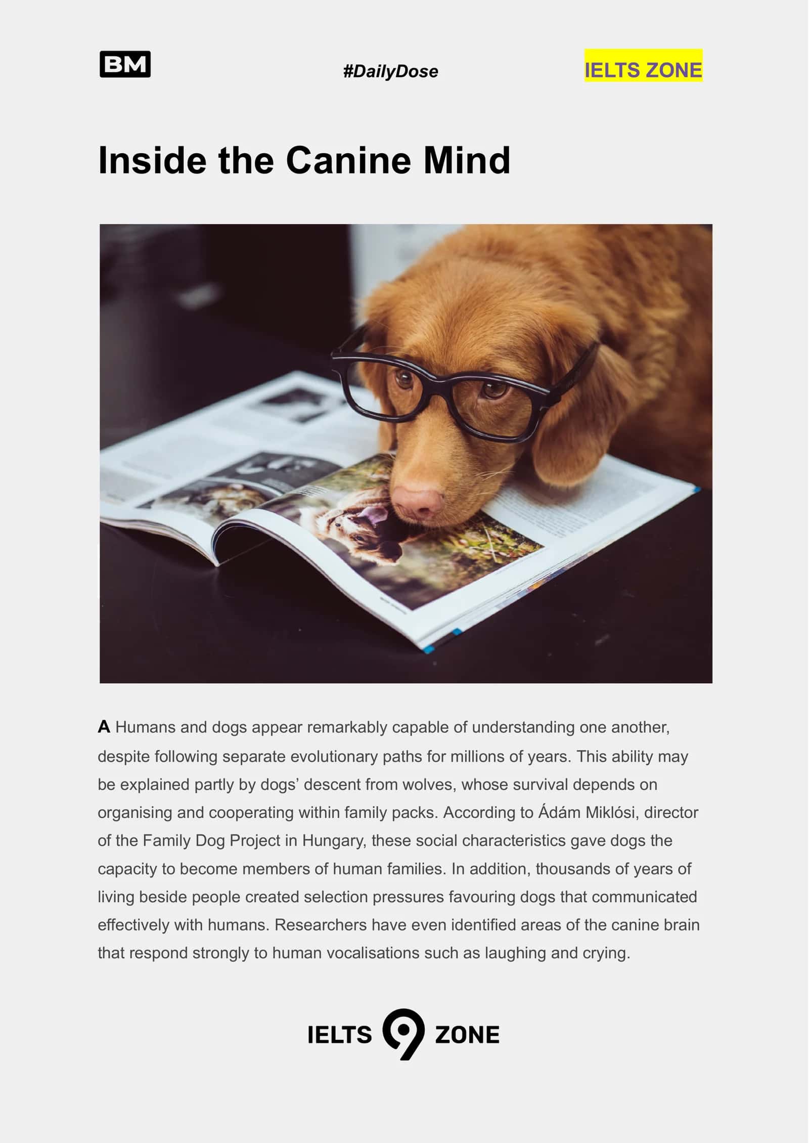 Inside the Canine Mind