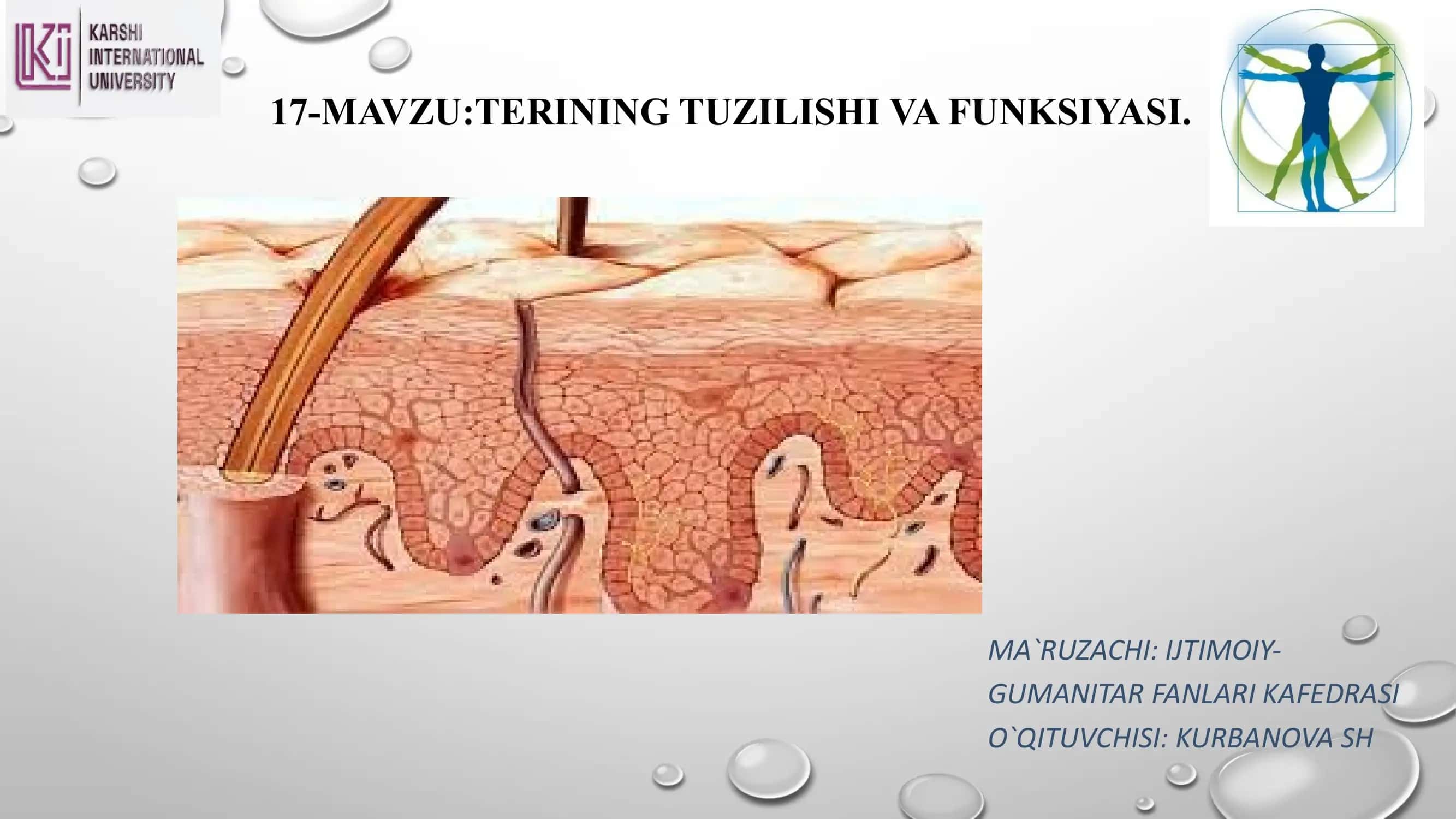 TERINING TUZILISHI VA FUNKSIYASI
