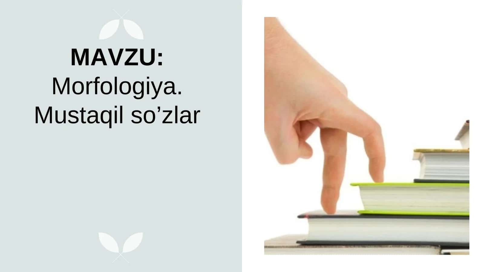 Morfologiya. Mustaqil so’zlar