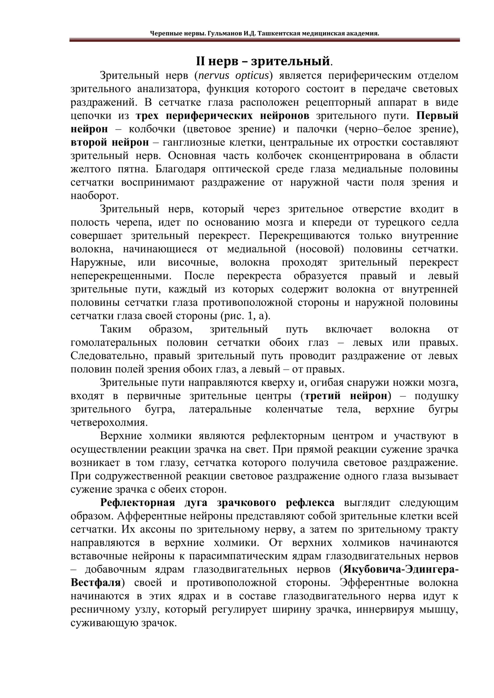 Зрительный нерв