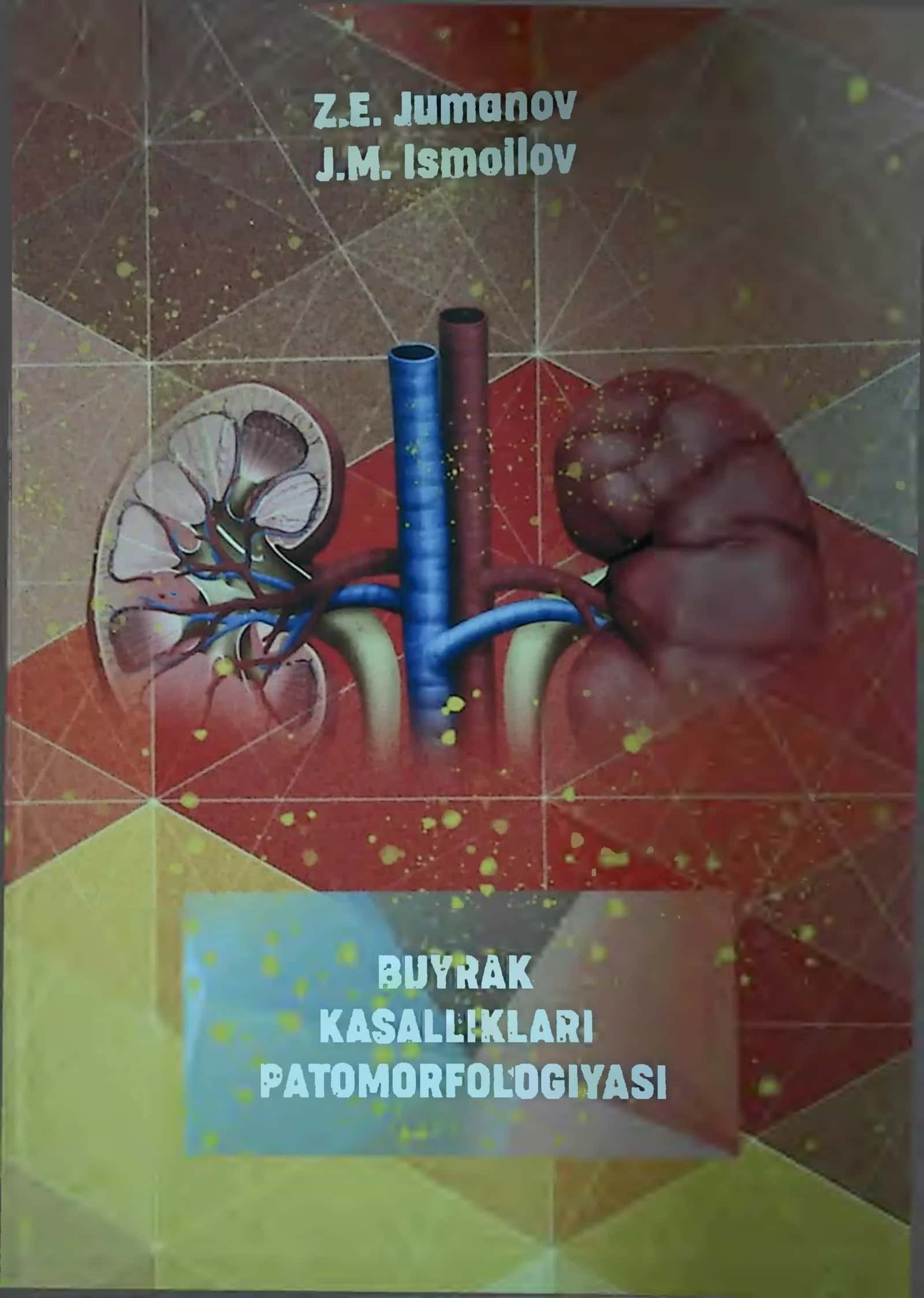 BUYRAK KASALLIKLARI PATOMORFOLOGIYASI