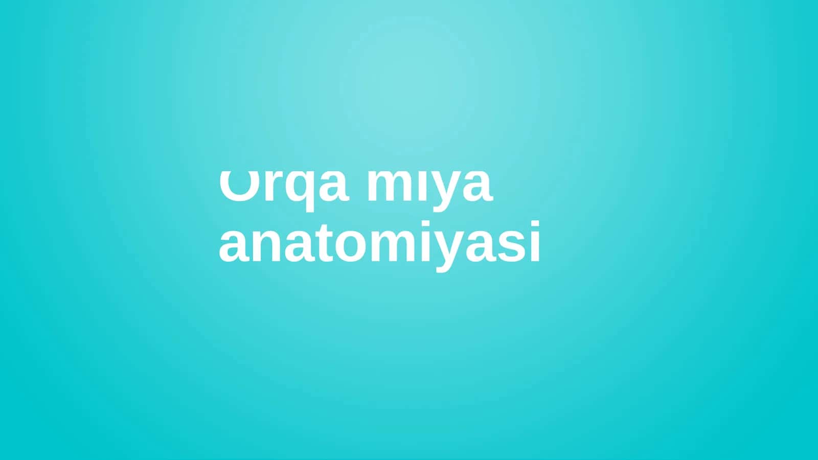 Orqa Miya Anatomiyasi