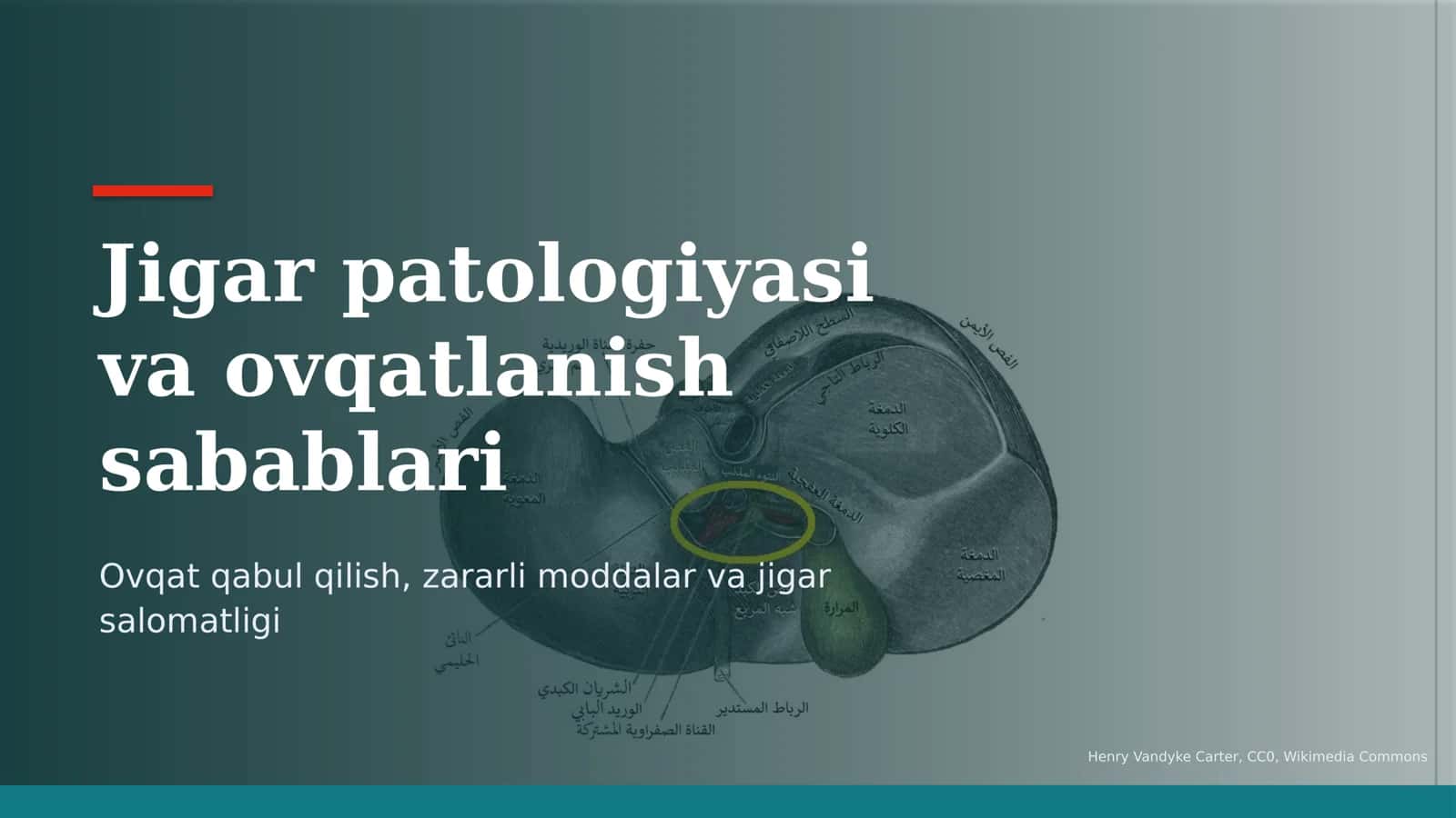 Jigar patologiyasi va ovqatlanish sabablari