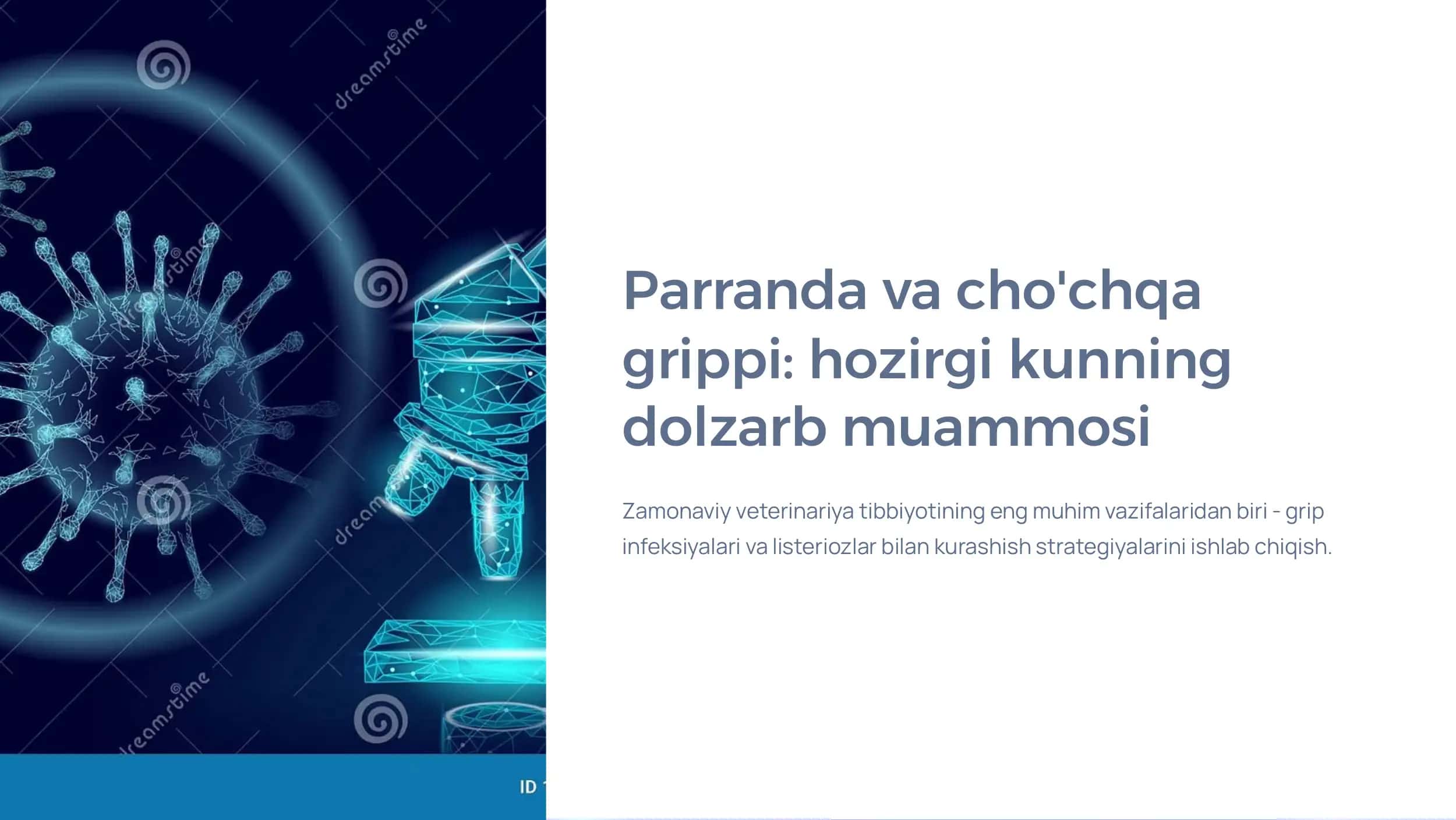 Parranda va cho'chqa grippi va uning hozirgi kundagi muammolari. Listeriozlarga umumiy tasnif va patogenezi.