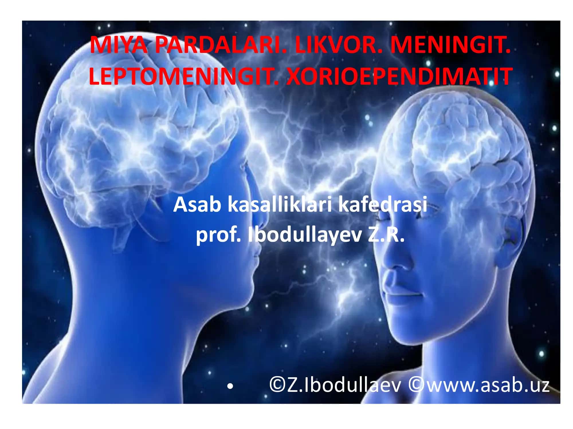MIYA PARDALARI. LIKVOR. MENINGIT. LEPTOMENINGIT. XORIOEPENDIMATIT