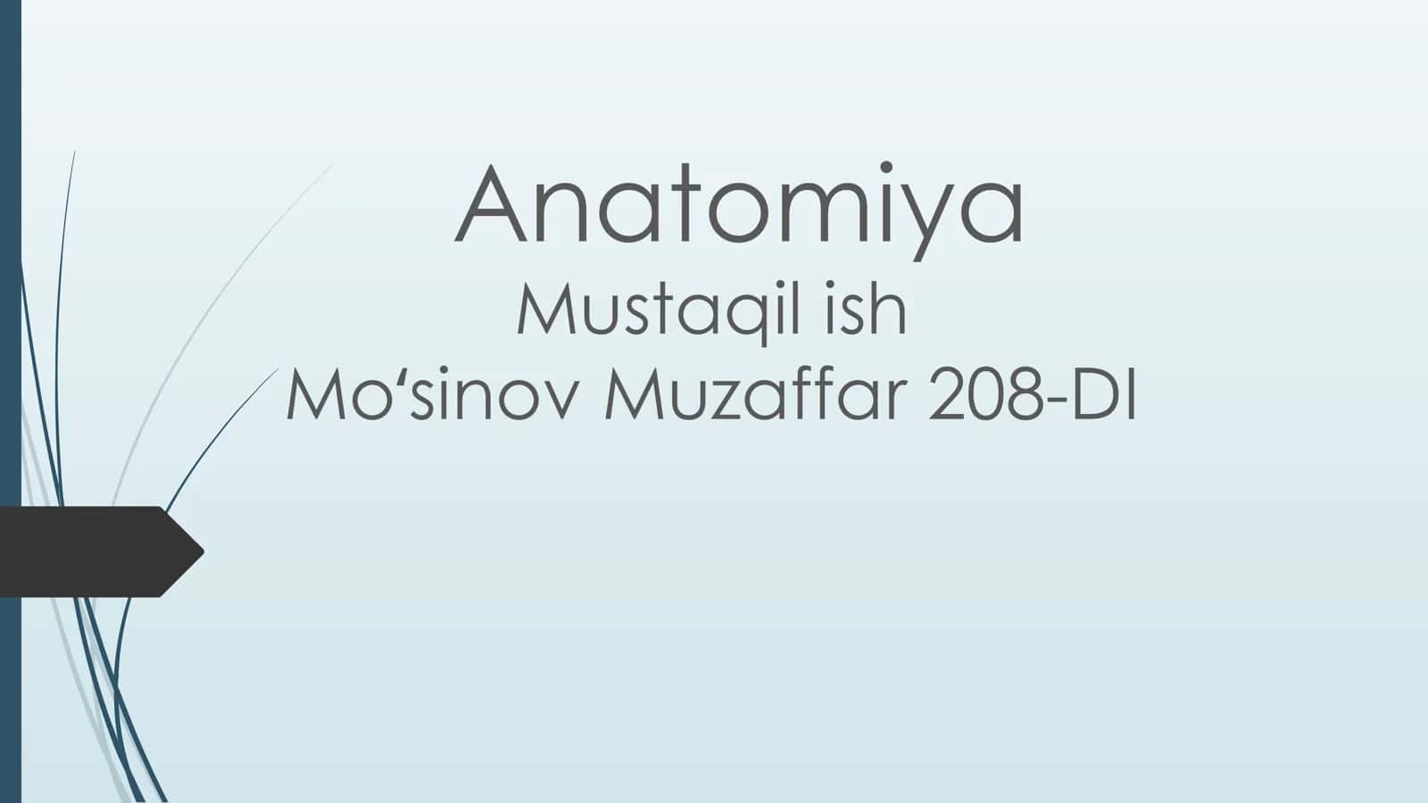 Ko’rish a’zosi.Ko’z olmasining tuzulishi va yoshga qarab o’zgarishi