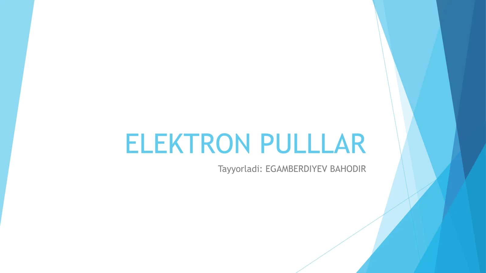 ELEKTRON PULLAR