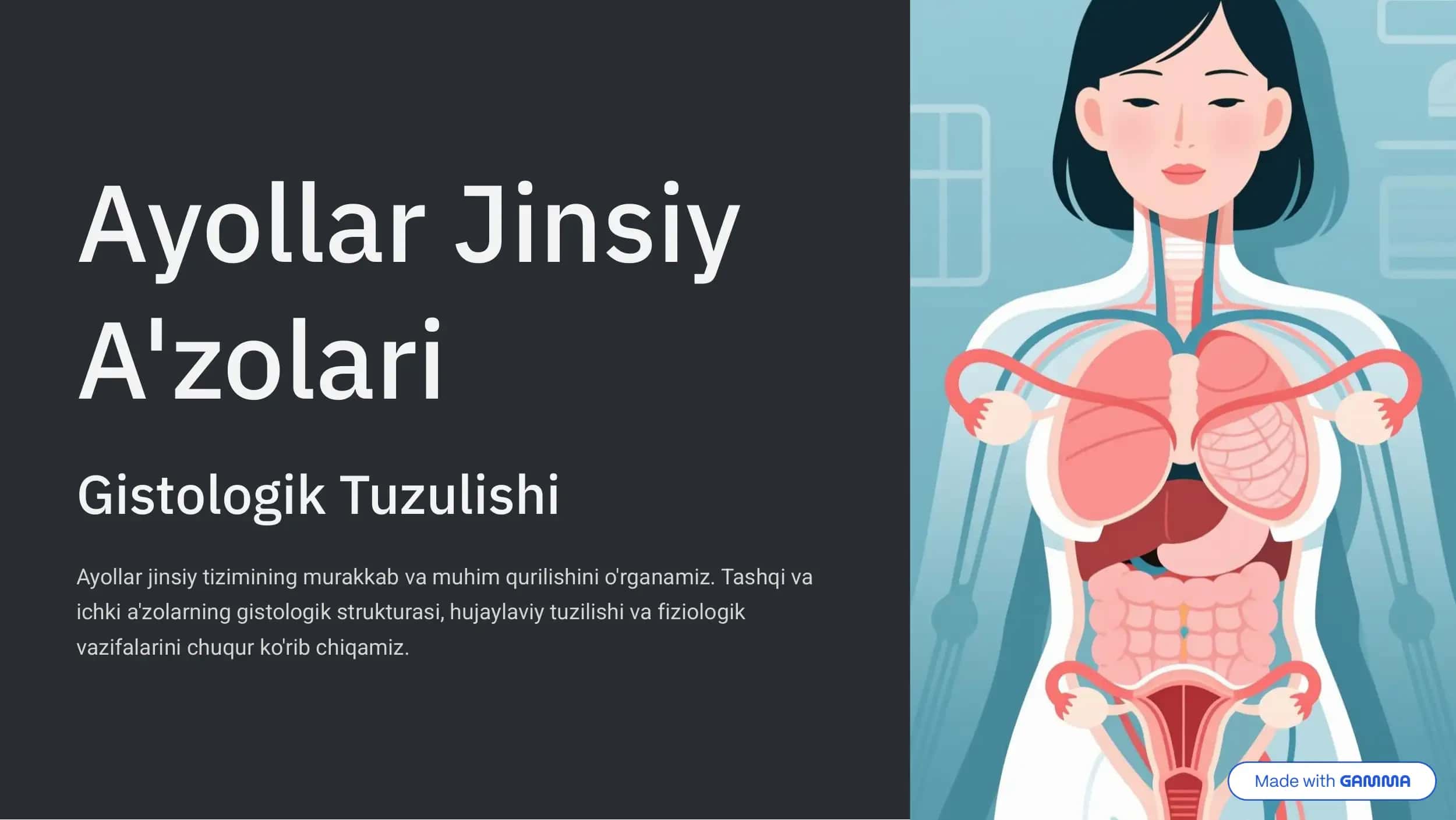 Ayollar Jinsiy A'zolari Gistologik Tuzulishi