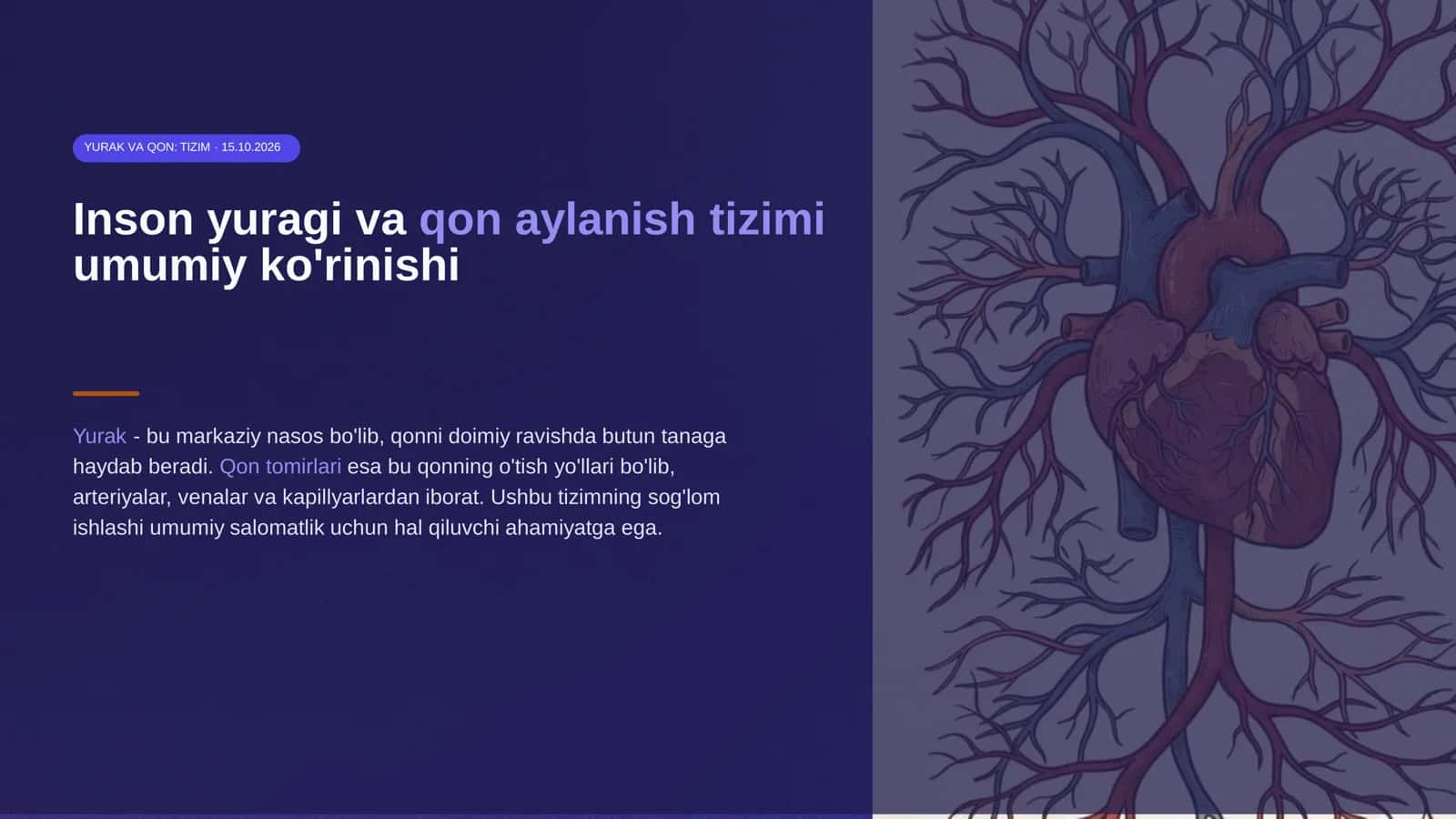 Inson yuragi va qon aylanish tizimi