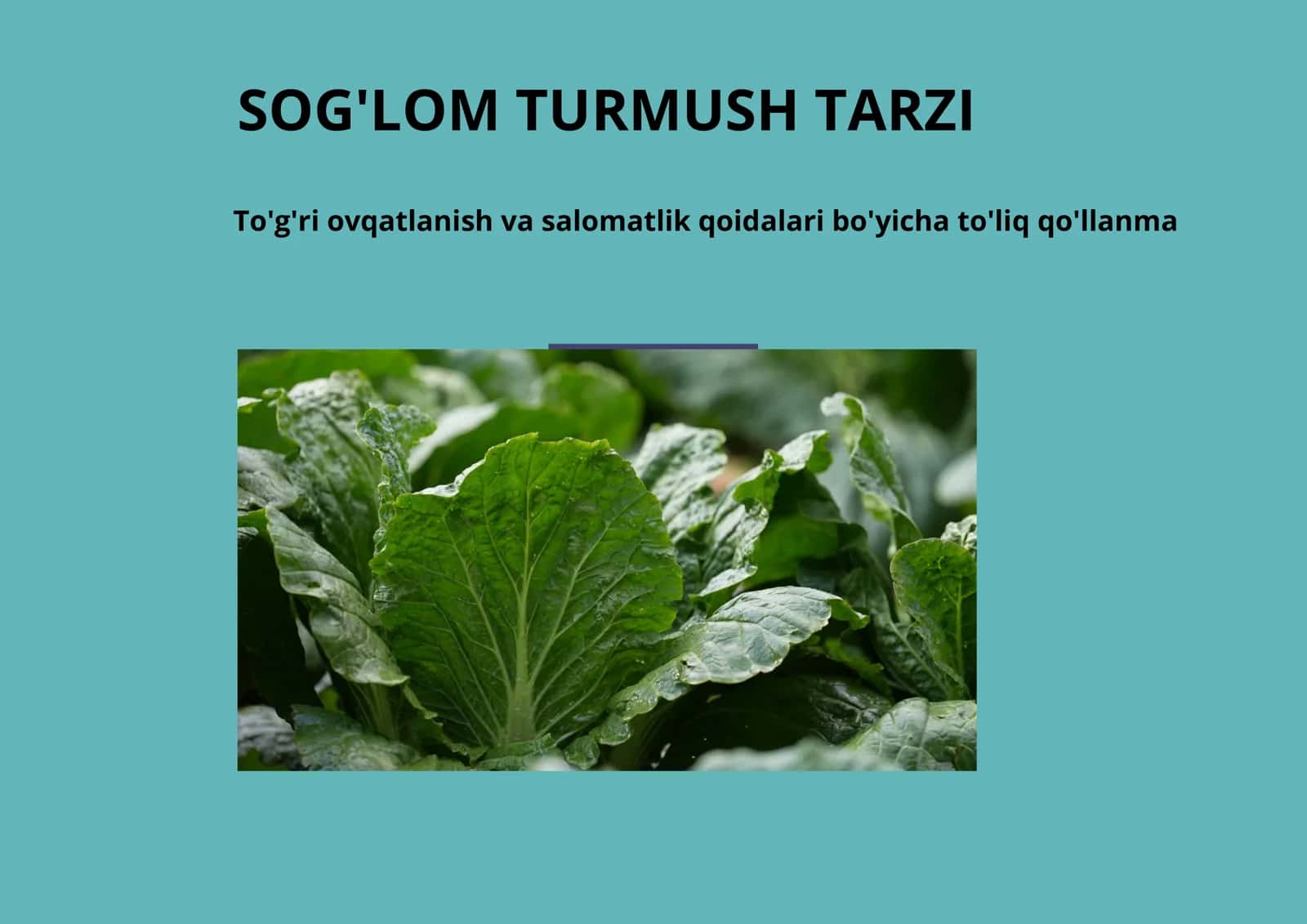 sogʻlom turmush tarzi va toʻgʻri ovqatlanish
