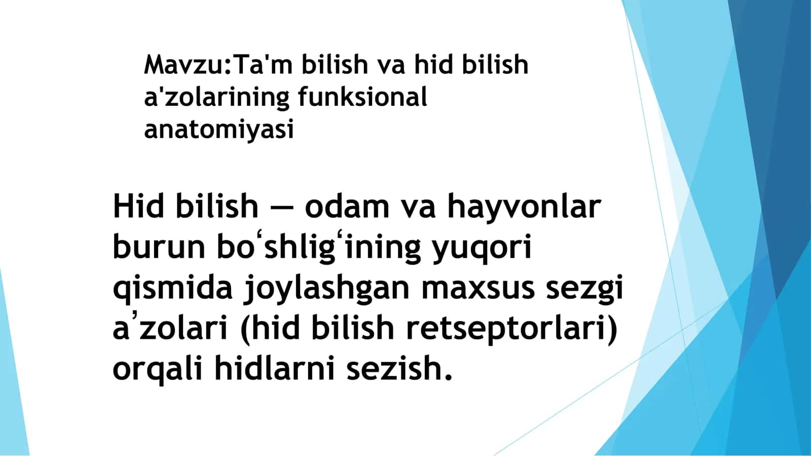 Ta'm bilish va hid bilish anatomiyasi
