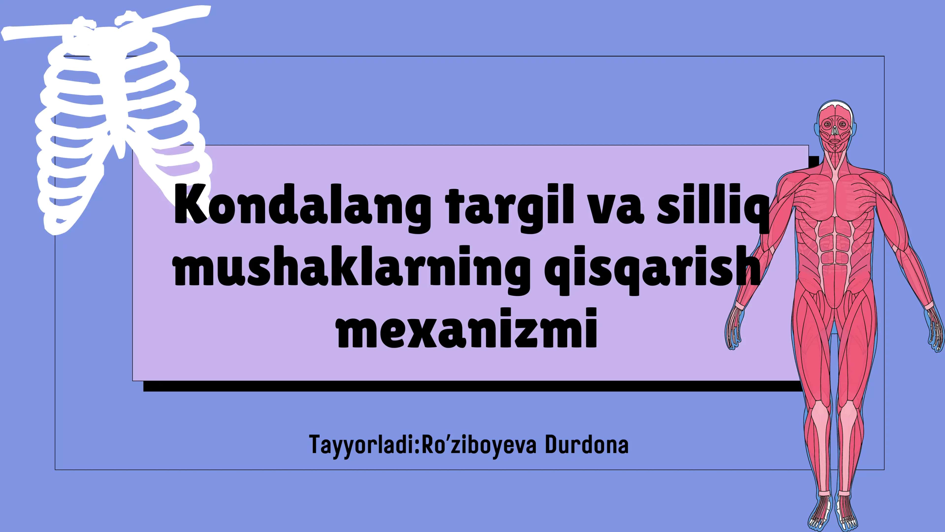 Kondalang targ'il va silliq mushaklarning qisqarish mexanizmi