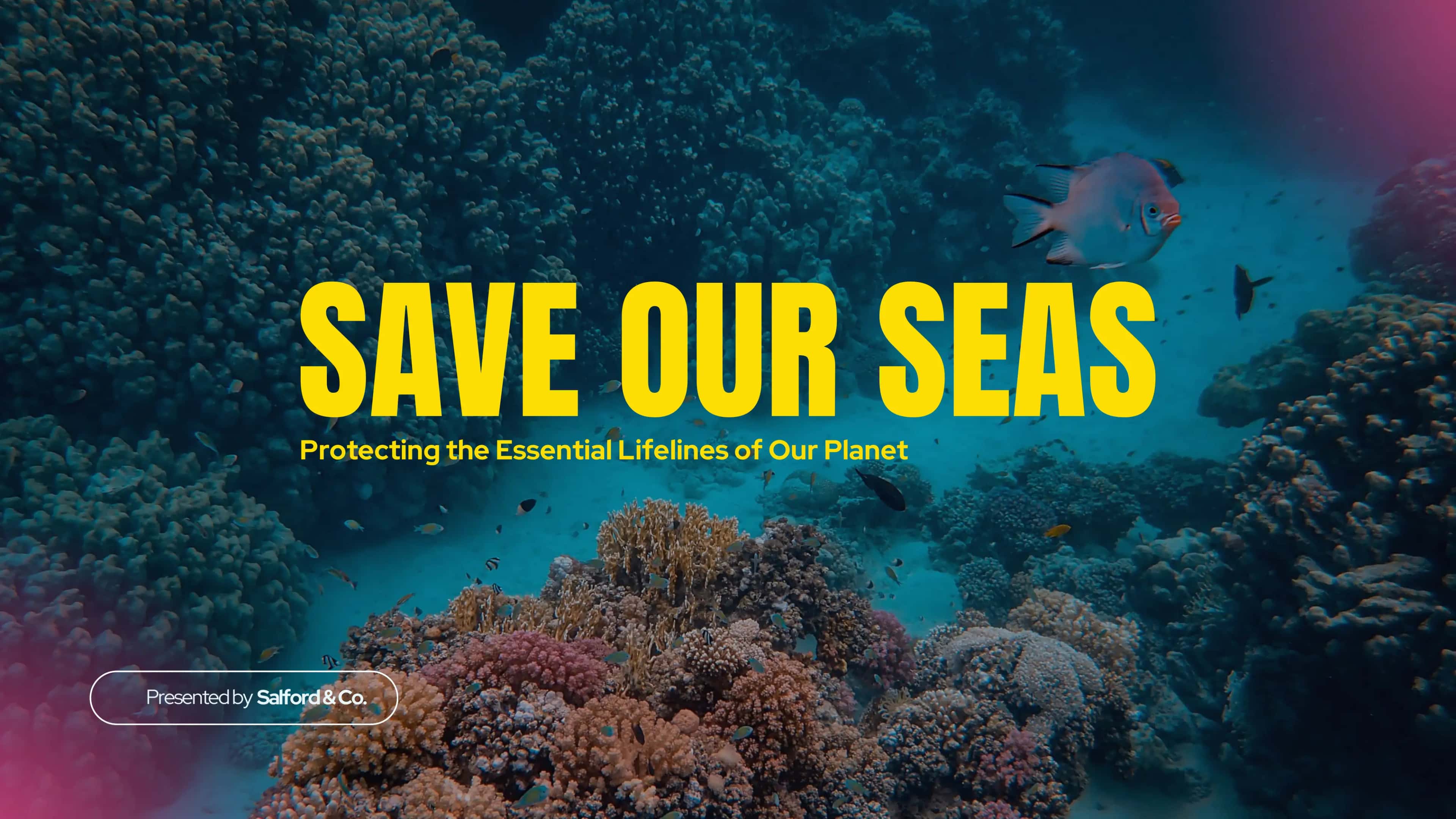 THE IMPACT OF OCEAN POLLUTION