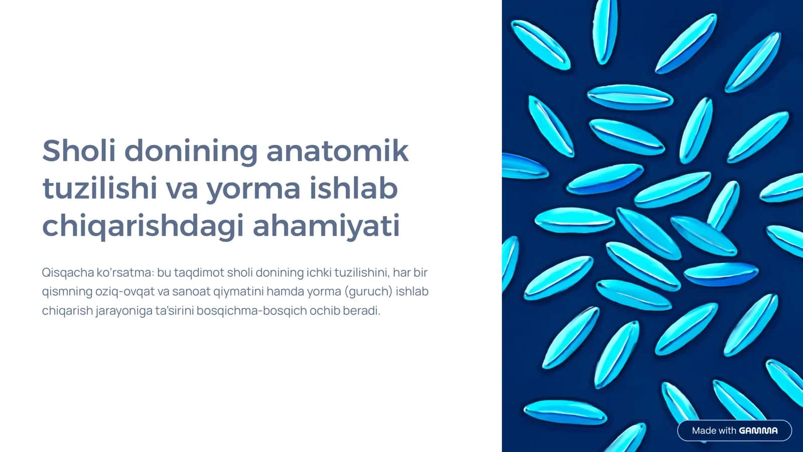 Sholi donining anatomik tuzilishi va yorma ishlab chiqarishdagi ahamiyati