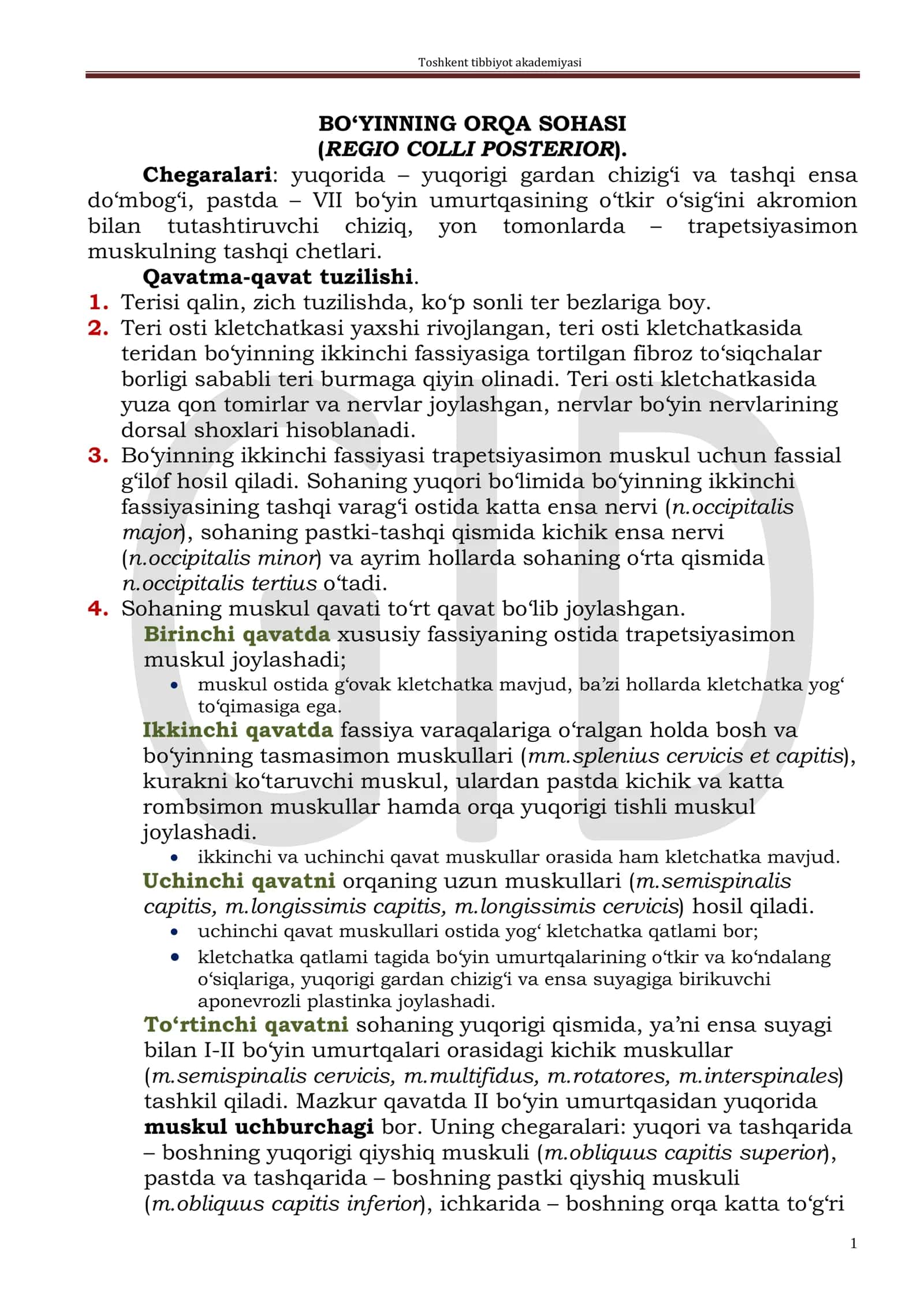 BO‘YINNING ORQA SOHASI (REGIO COLLI POSTERIOR)