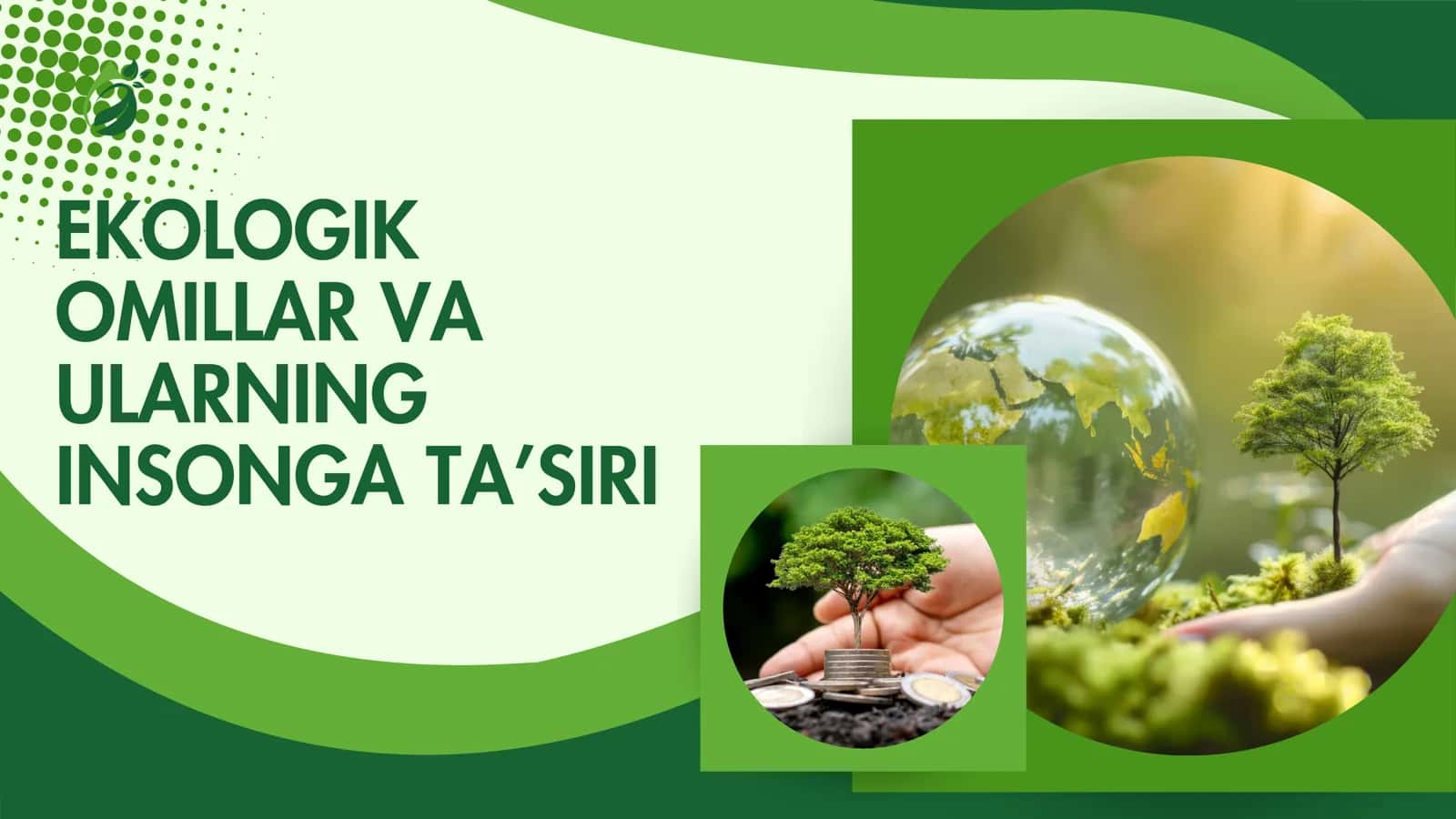 Ekologik Omillar va Ularning Insonga Ta’siri