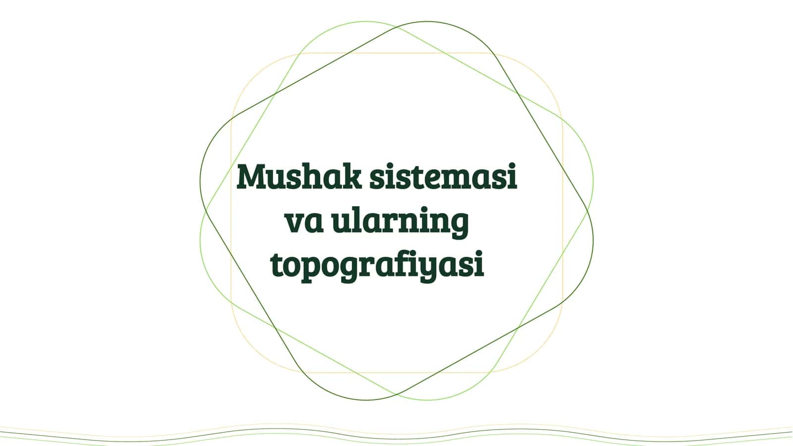 Mushak sistemasi va ularning topografiyasi