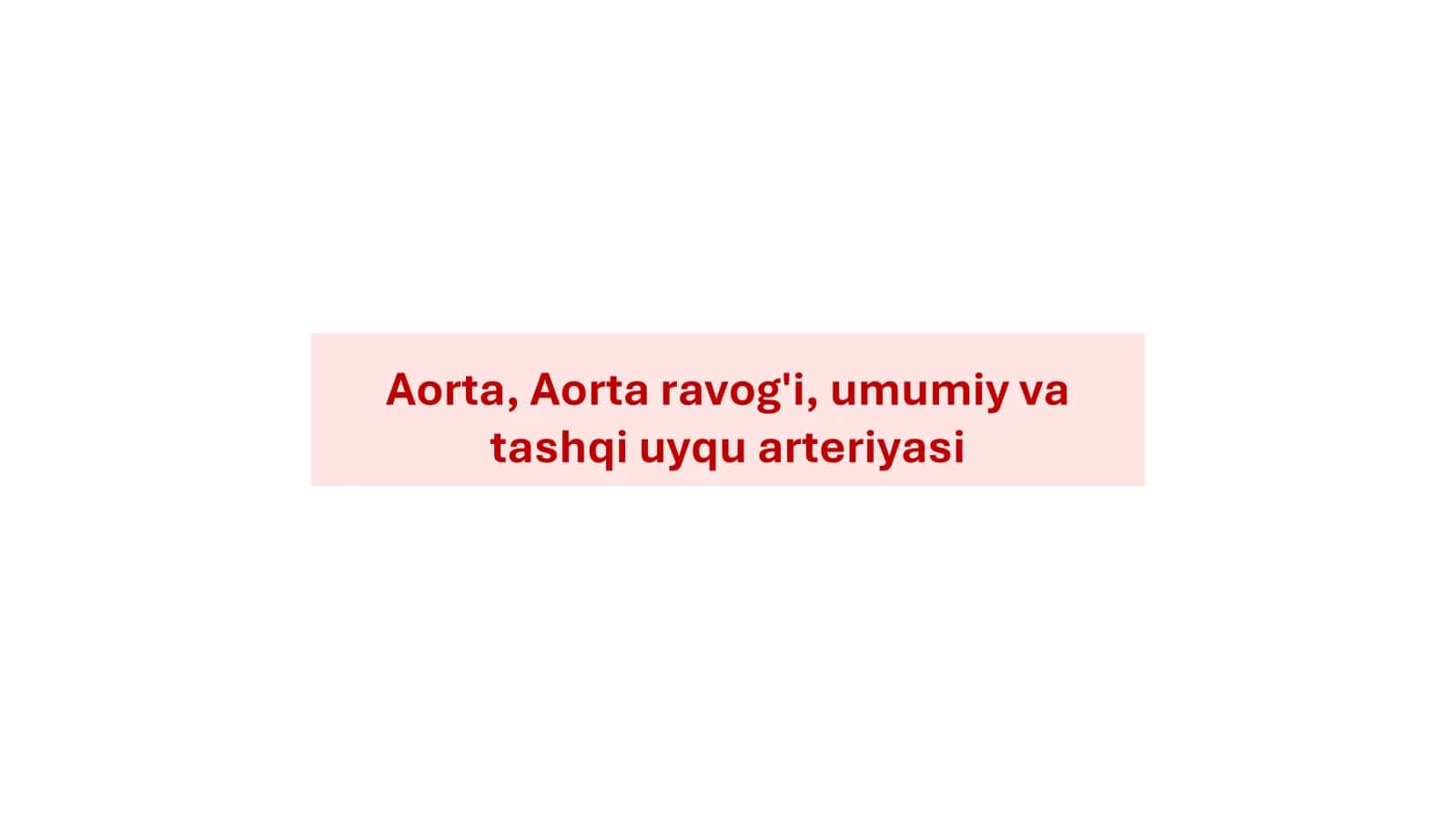 Aorta, Aorta ravogʻi anatomiyasi