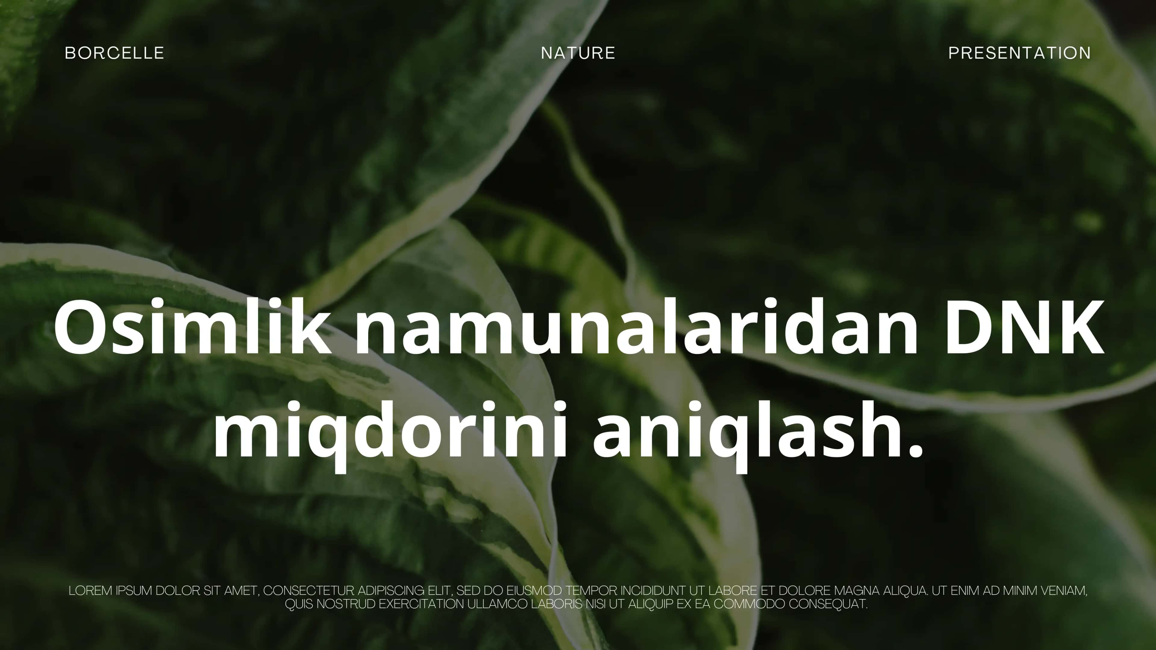DNK haqida prezintatsiya