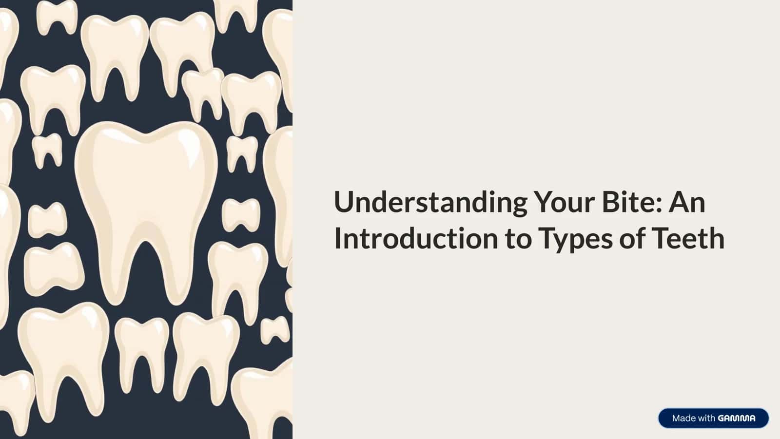 Understanding Your Bite: An Introduction to Types of Teeth