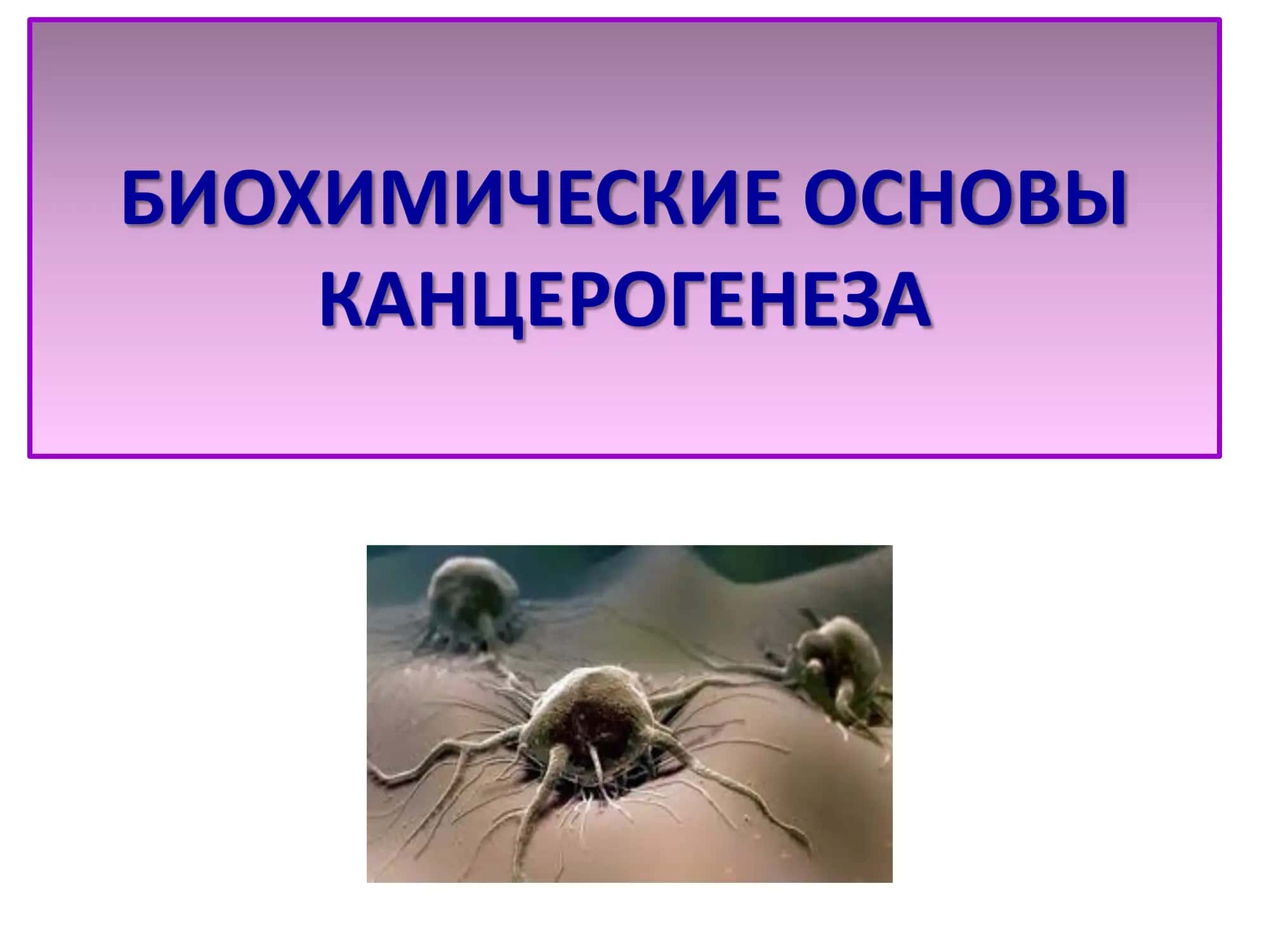 БИОХИМИЧЕСКИЕ ОСНОВЫ КАНЦЕРОГЕНЕЗА