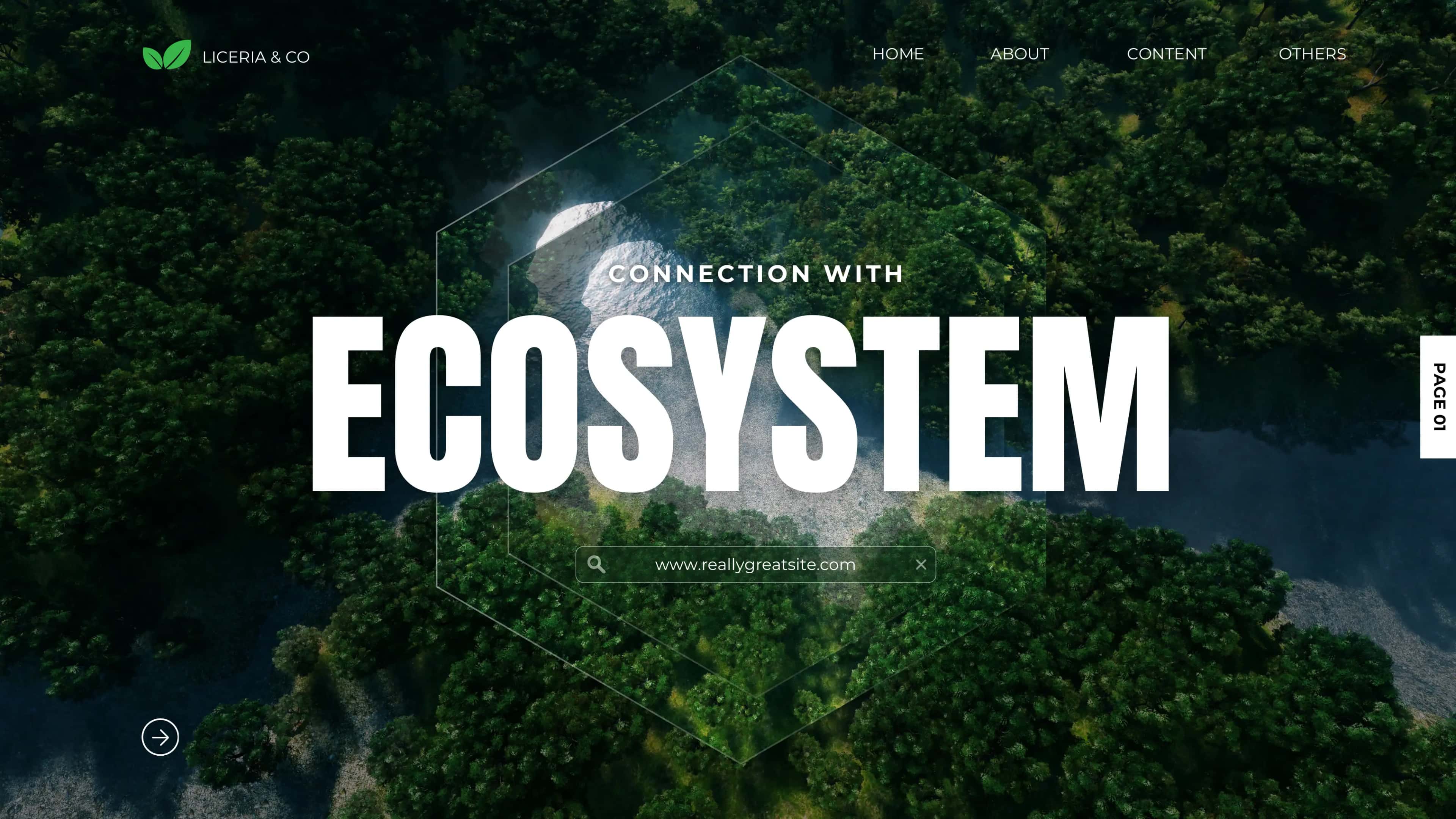 WHAT IS ECOSYSTEM?