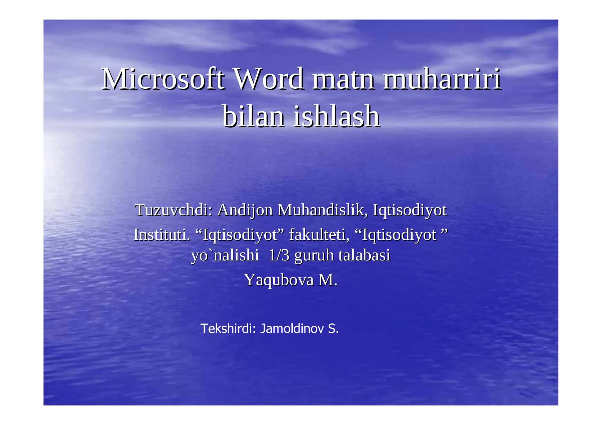 Microsoft Word