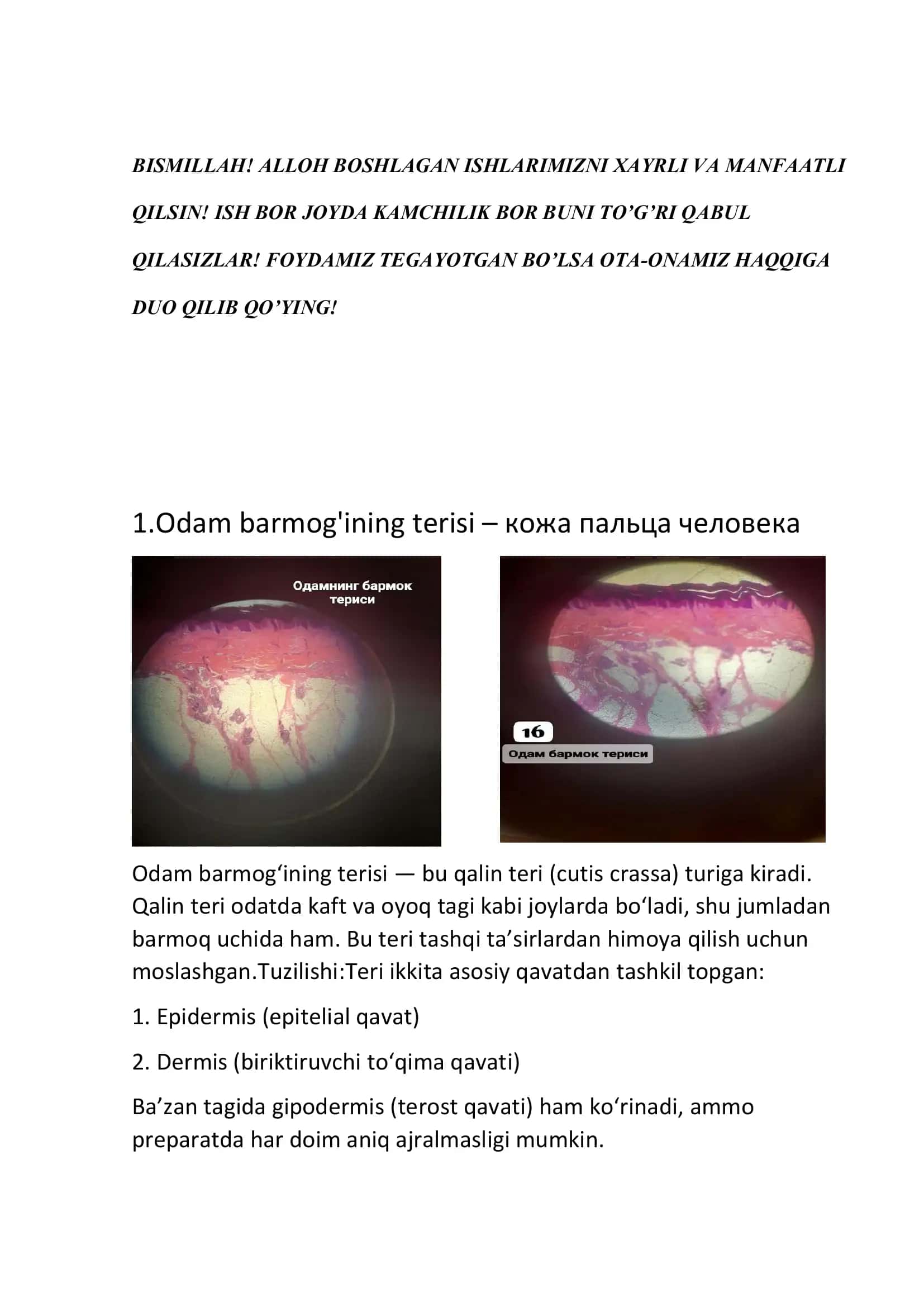 Odam barmog'ining terisi