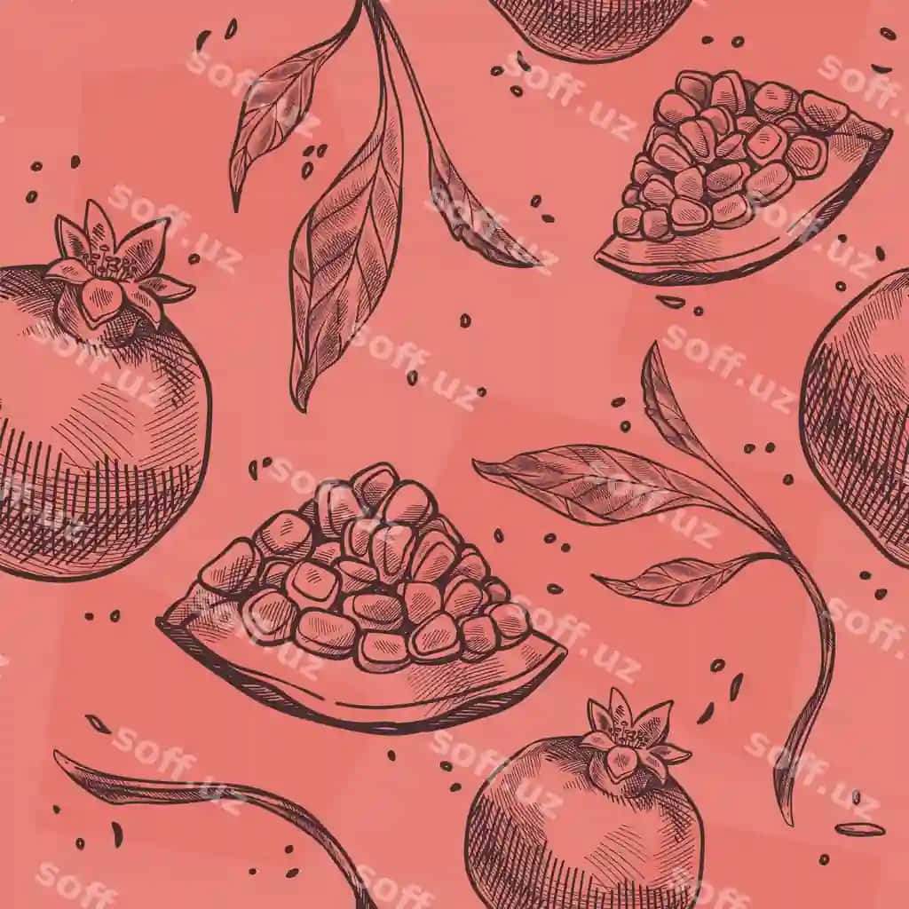 O'tgan anor daraxtlari yaproqlari bilan vektor | Ripe pomegranate branches with leaves vector