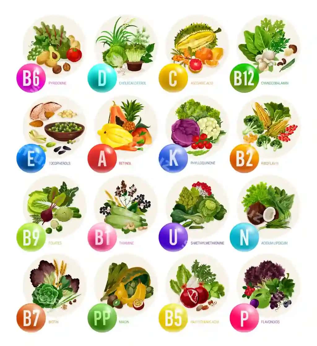 Vitaminlar meva shirin qozonlar daraxtlar | Vitamins fruits nuts vegetables
