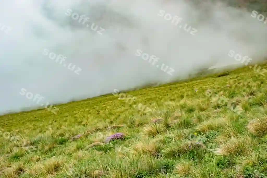 Manzarasi maydon osmon orqali | Scenic view field against sky