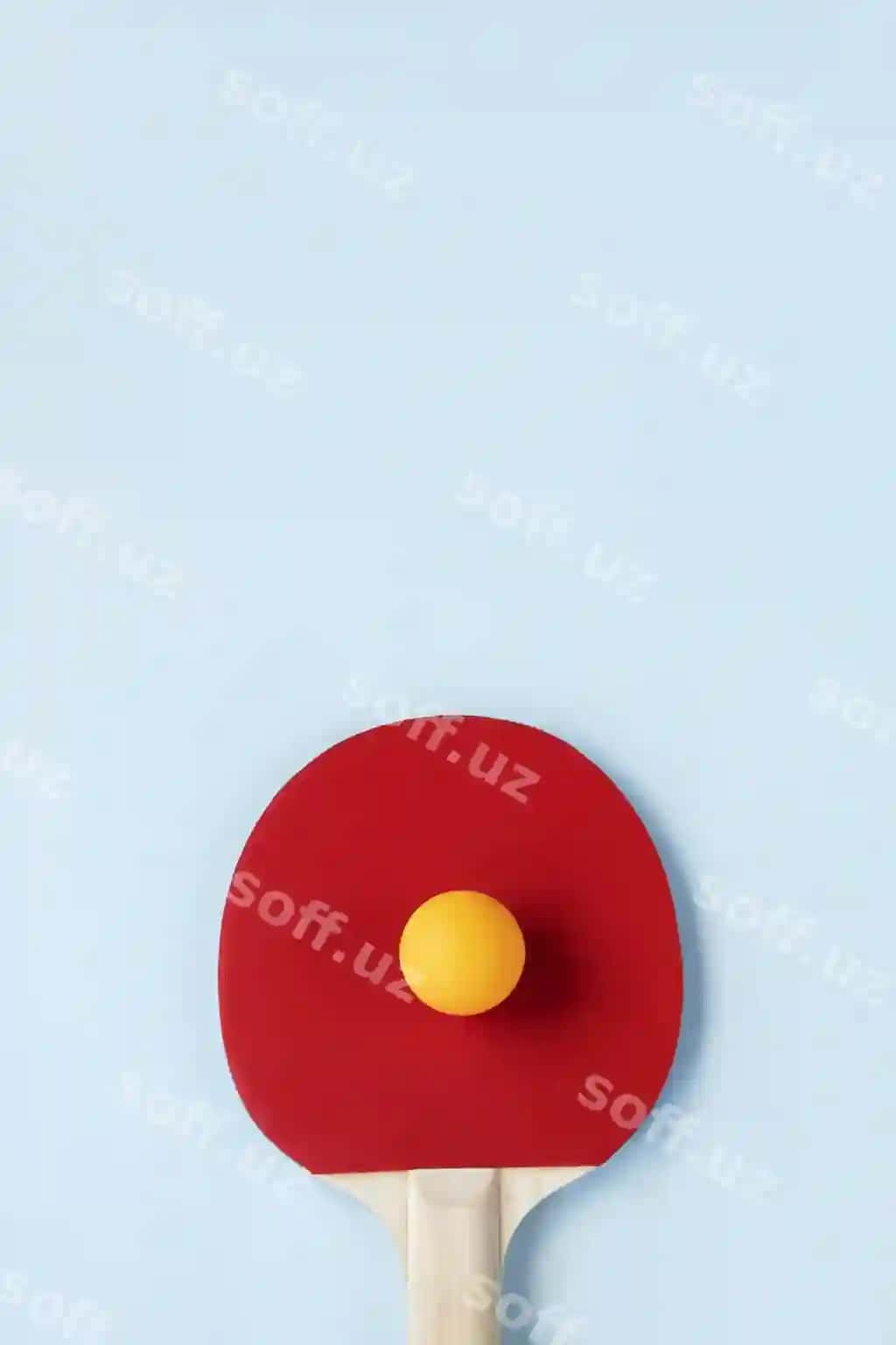 Ping pong raketkasi to'pi oson ko'k orqa fonda faol hayot uslubi kontseptsiyasi | Ping pong paddle ball light blue background active lifestyle concept