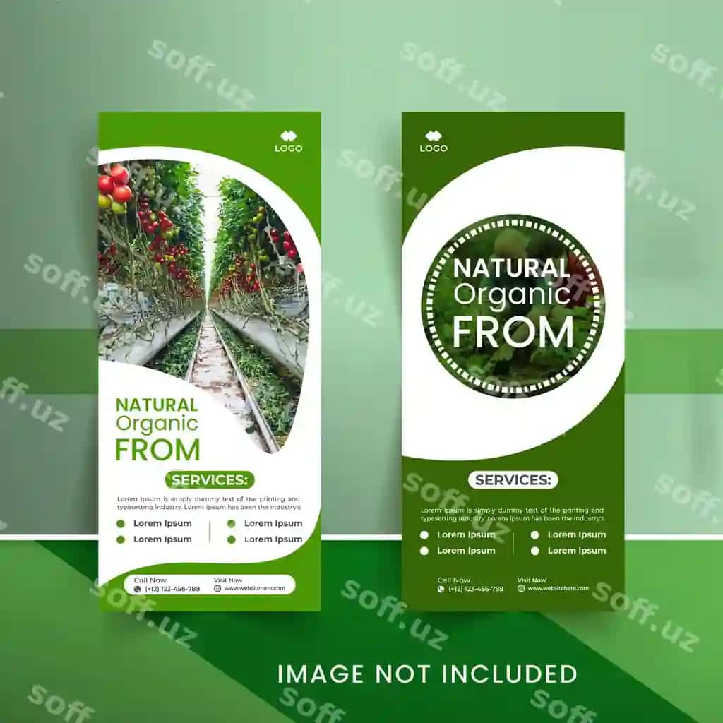 Yangi apelsin ovqatli aylanma banner dizayn shabloni vektori tabiiy organik. | Fresh orange food rollup banner design template vector natural organic