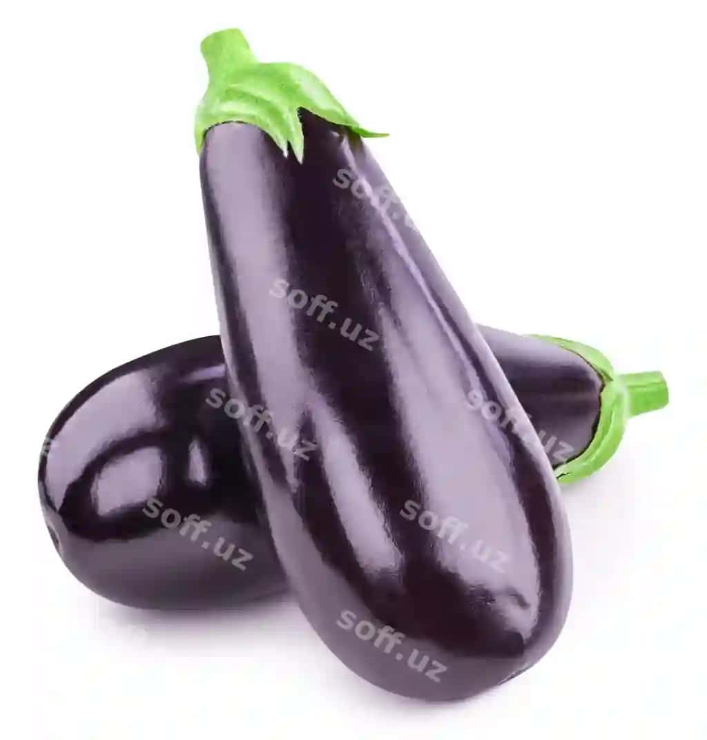 Baqol bir baqol baqol ajraltirilgan oq | Eggplant one aubergine eggplant isolated white