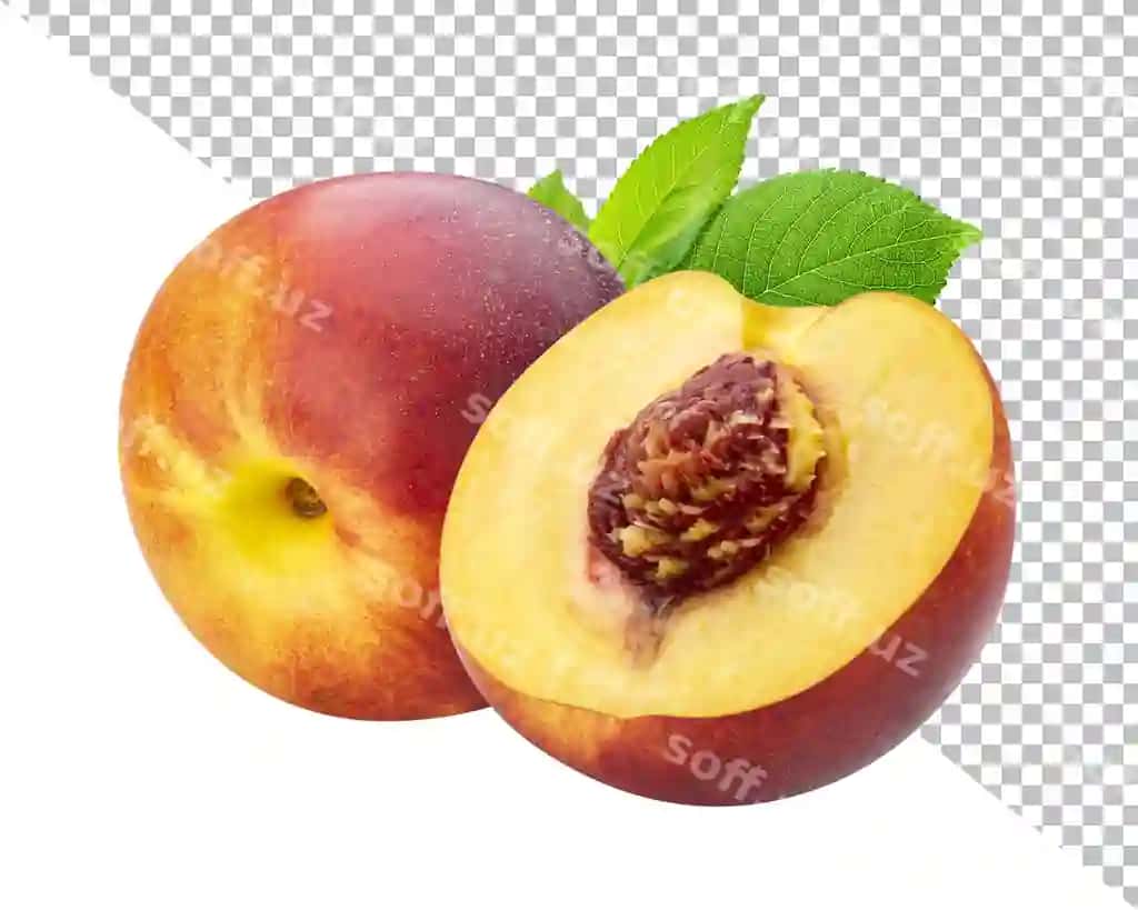 Yetkli suzilgan nectarini oq fonda izolyatsiya qilingan | Ripe juicy nectarines isolated white background