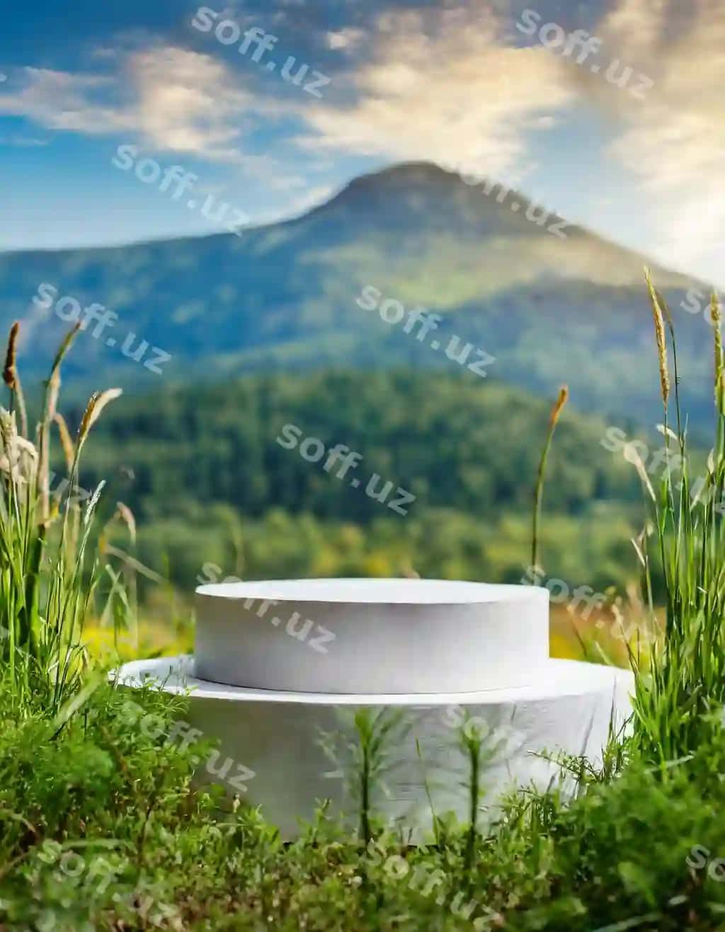 Podium namuna chaman chiroyli orqa fonda tabiat bilan | Podium mockup grass with beautiful background nature