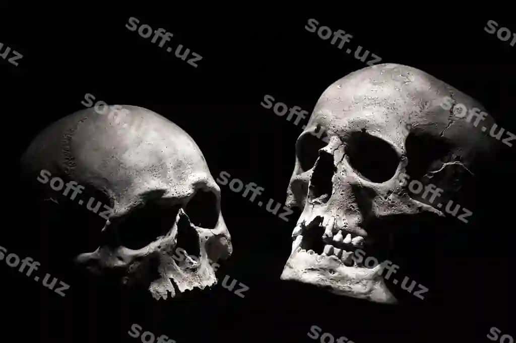 Inson bosh suvlari qora fon | Human skulls black background