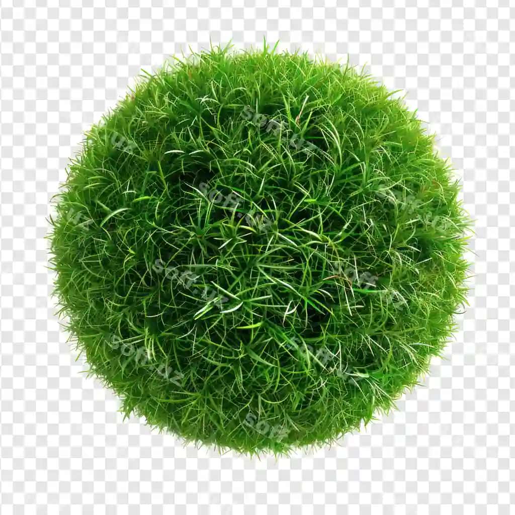 Suzgan doira chaman to'p ajratilgan shaffoflik orqa fon psd | Floated round grass ball isolate transparency background psd