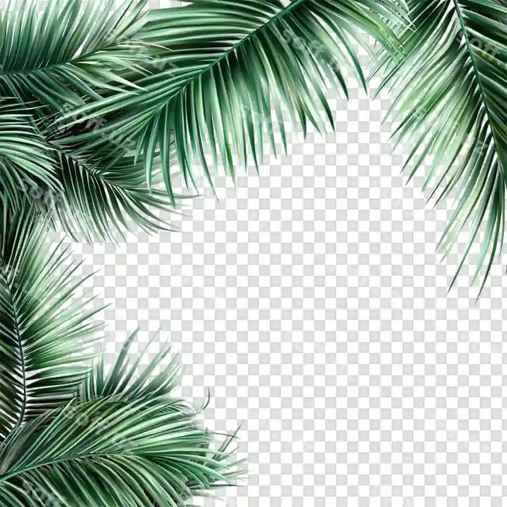 Yashil tropik orqa fonda monstera baroklari va palm baroklari tekis. | Green tropical background with monstera leaves palm leaves flat